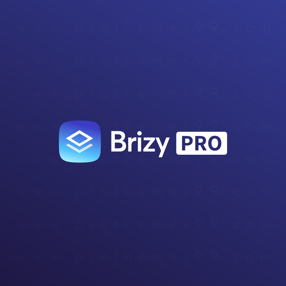 Brizy Pro